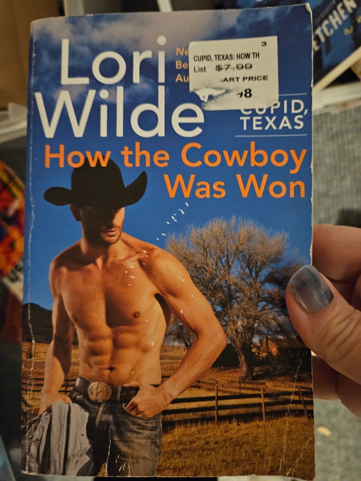 How the cowboy was won. Lori Wilde. Buy 1 adult book get 1 free - Image 1