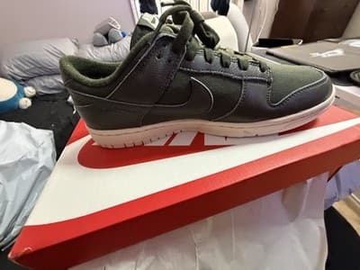 Nike dunk lows men