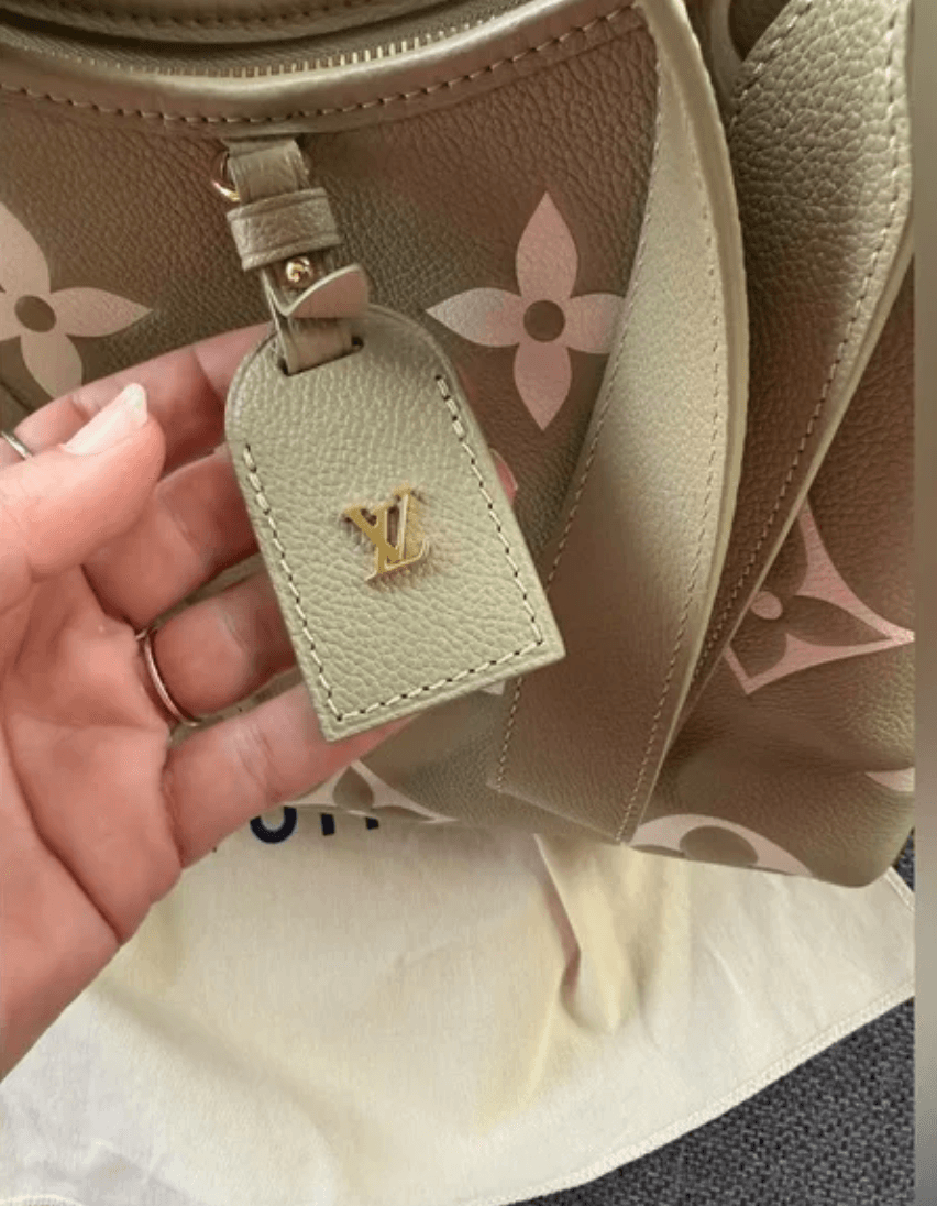 Louis Vuitton carryAll Pm empriente FULL SET - Thumbnail 6