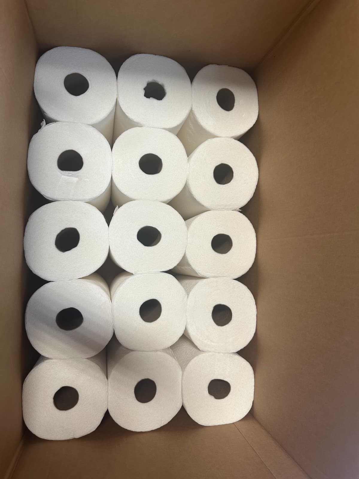 Bulk Household Paper Bundle – 15 BIG Paper Towel Packs + 48 Rolls 2-Ply Toilet - Image 1