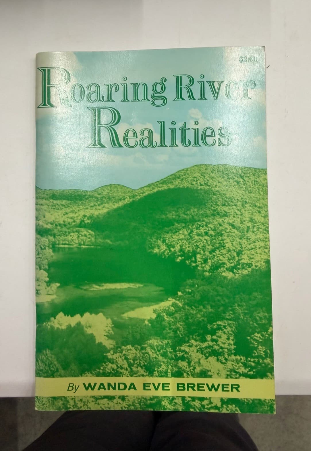 Wanda Eve Brewer Roaring River Realities Paperback 2nd Ed 1973 The Lowell Press