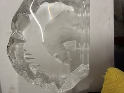 Mats Jonassn Crystal Polar Bear Sculpture - Thumbnail 2