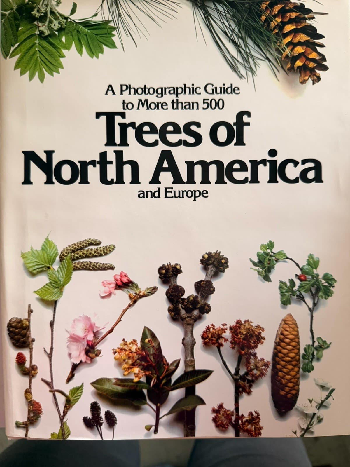 Roger Phillips Trees of North America and Europe Hardcover 1st Ed 1978 Illus