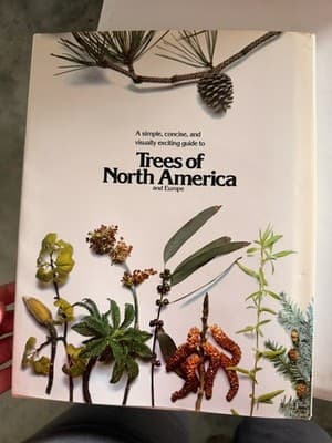 Roger Phillips Trees of North America and Europe Hardcover 1st Ed 1978 Illus - Thumbnail 3