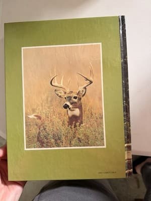 Reader's Digest Joy of Nature Hardcover 1977 Illustrated Nature Study Book - Thumbnail 3