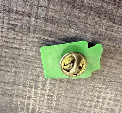 Green Washington State Outline Apple Enamel Lapel Pin Clutch Back - Thumbnail 2
