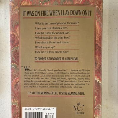 Robert Fulghum It Was on Fire When I Lay Down on It Hardcover 1st Ed 1989 w/ Du… - Thumbnail 5