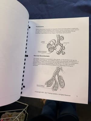 Qp3 Training Systems Introduction to the Respiratory System Spiral Illustrated - Thumbnail 4