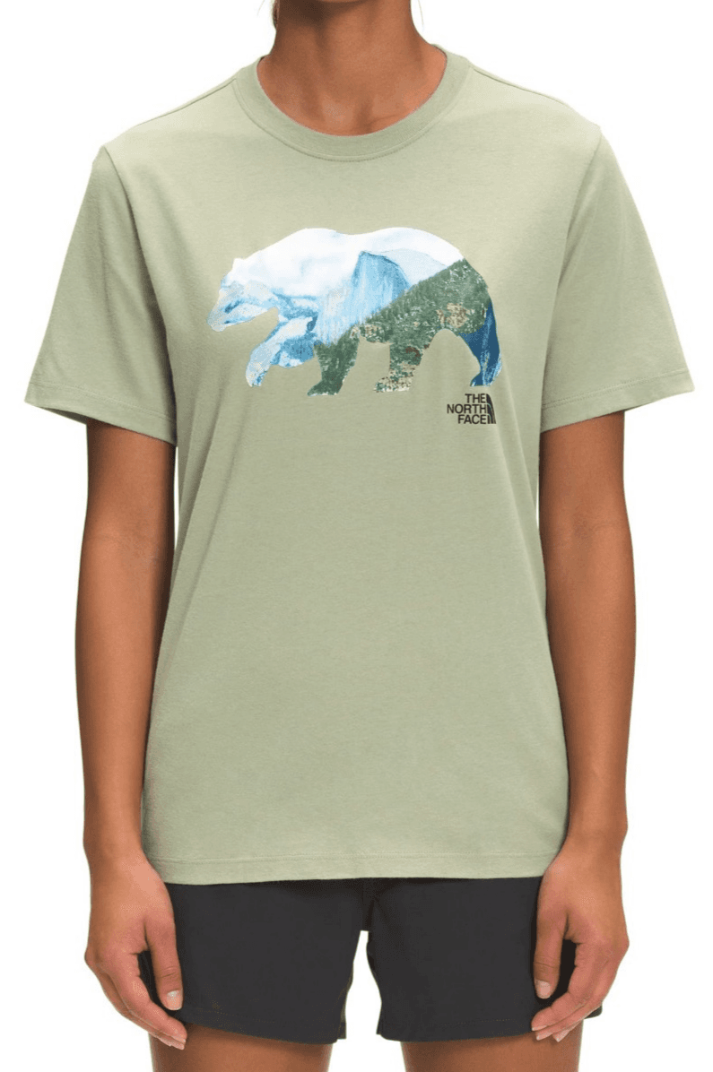 THE NORTH FACE Women's Short Sleeve TNF Bear Tee, Tea Green, XX-Large - Image 1