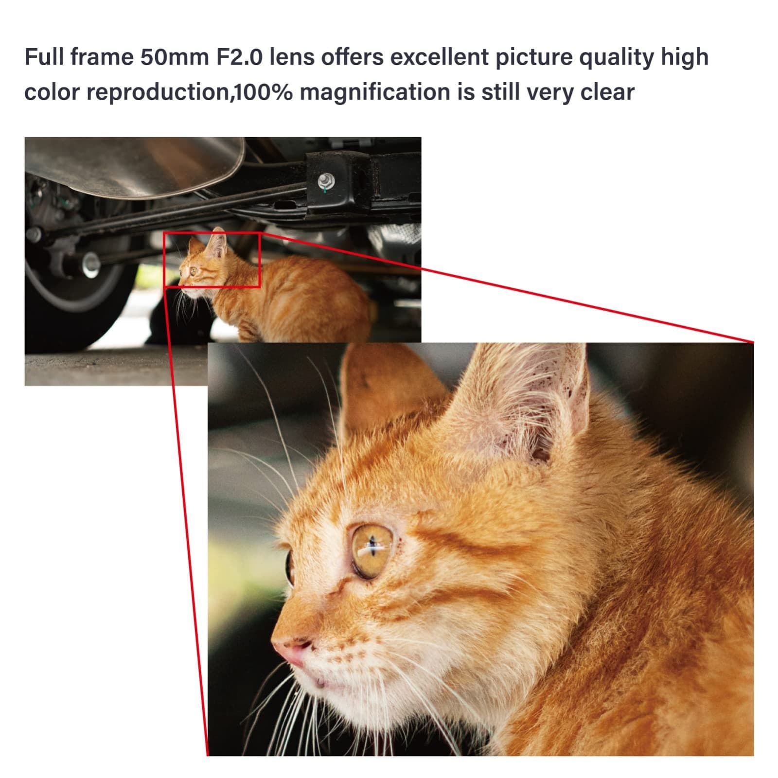 AstrHori 50mm F2.0 Full Frame Lens For Fuji Leica Sigma L-Mount Mirrorless +Case - Thumbnail 4