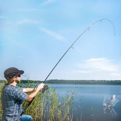 Spinning Fishing Rod Fuji Reel Seat Carbon Fiber Pole Sensitive Action 6.6 - Thumbnail 7