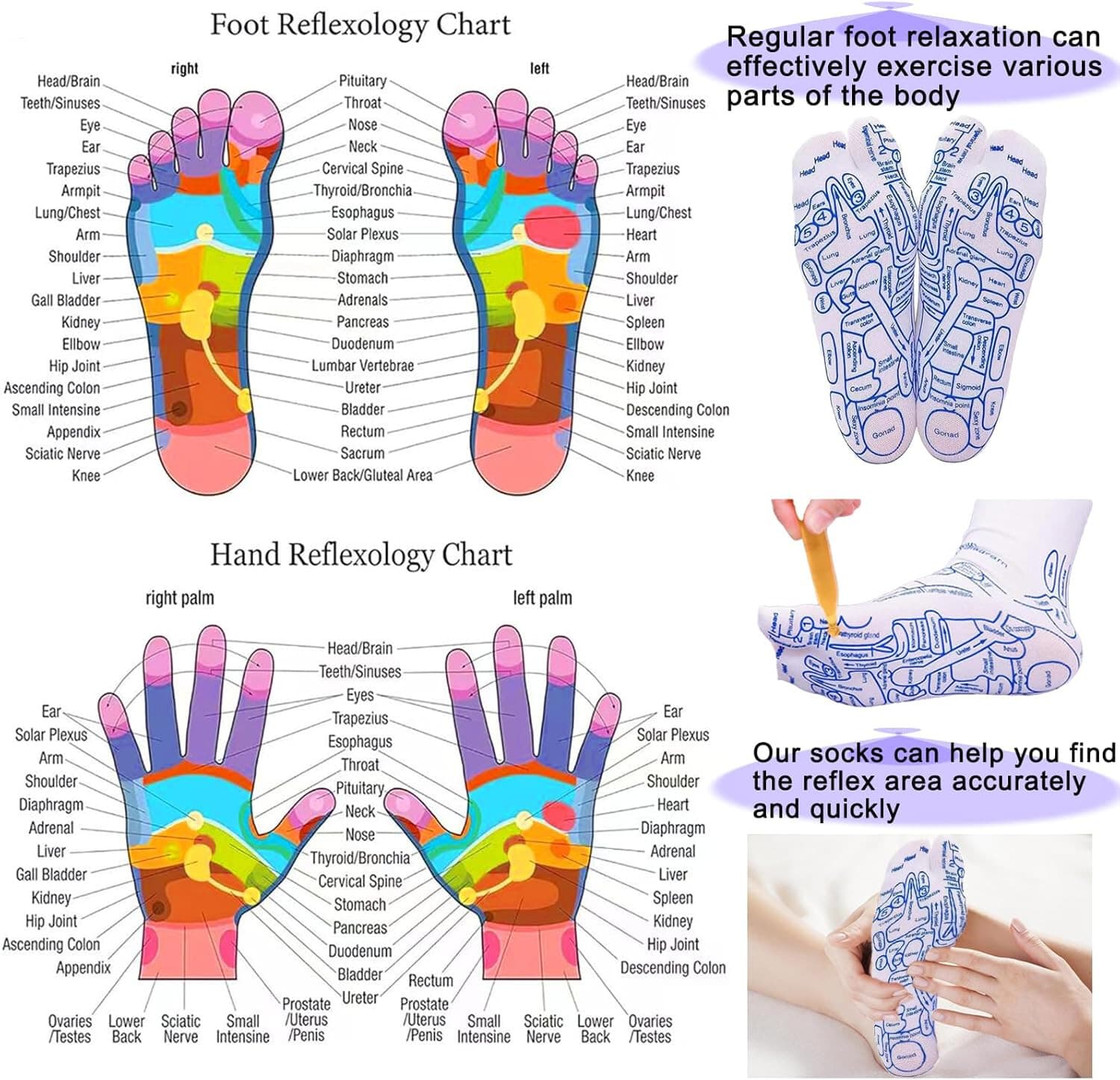 Acupressure Reflexology Socks With Trigger Point Massage Tool Foot Massage Sock - Thumbnail 4