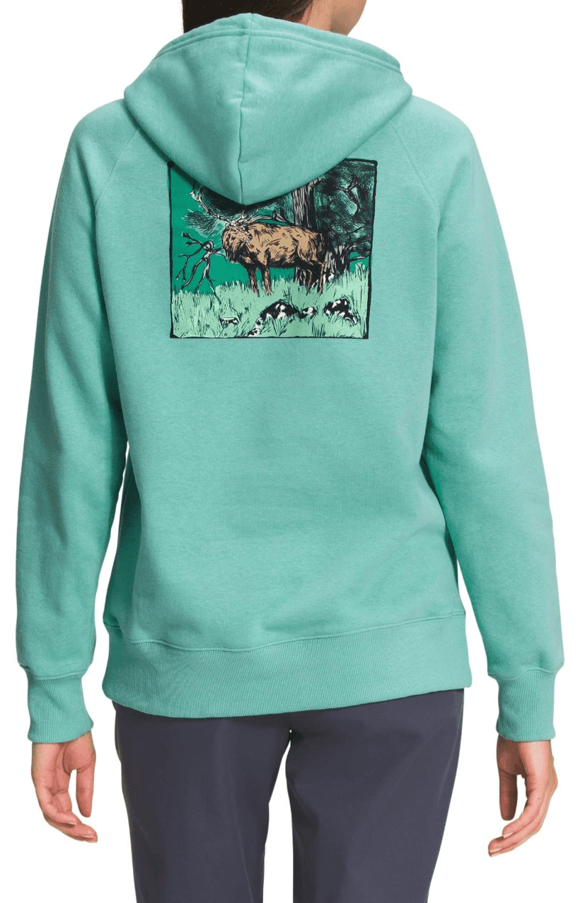 THE NORTH FACE Women's Graphic Injection Hoodie (Standard and Plus Size), Medium - Thumbnail 2