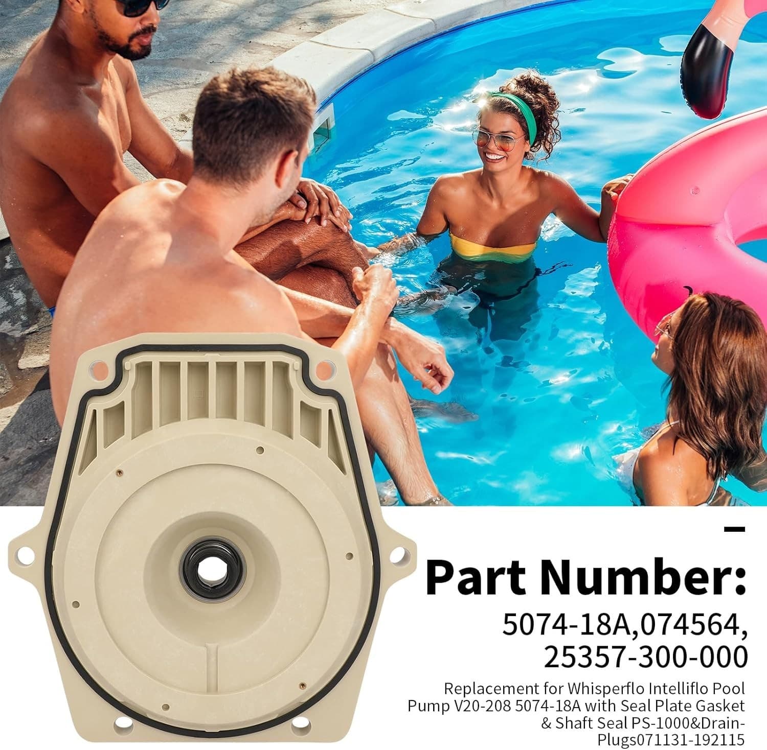 25357-300-000 074564 Seal Plate Fits for Whisperflo and Intelliflo Pool Pump 074 - Thumbnail 6
