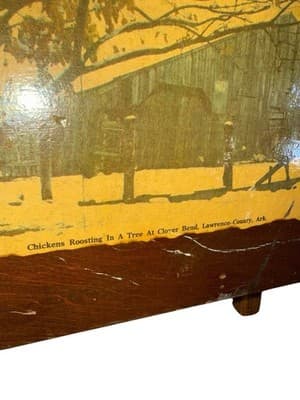 Vintage National #801 Brass King Top Notch Washboard w/ Chicken Print - Thumbnail 6