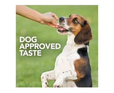 Vet's Best Probiotic Soft Chews Dog Supplement, 30 ct - Thumbnail 6