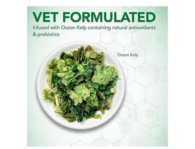 Vet's Best Probiotic Soft Chews Dog Supplement, 30 ct - Thumbnail 4