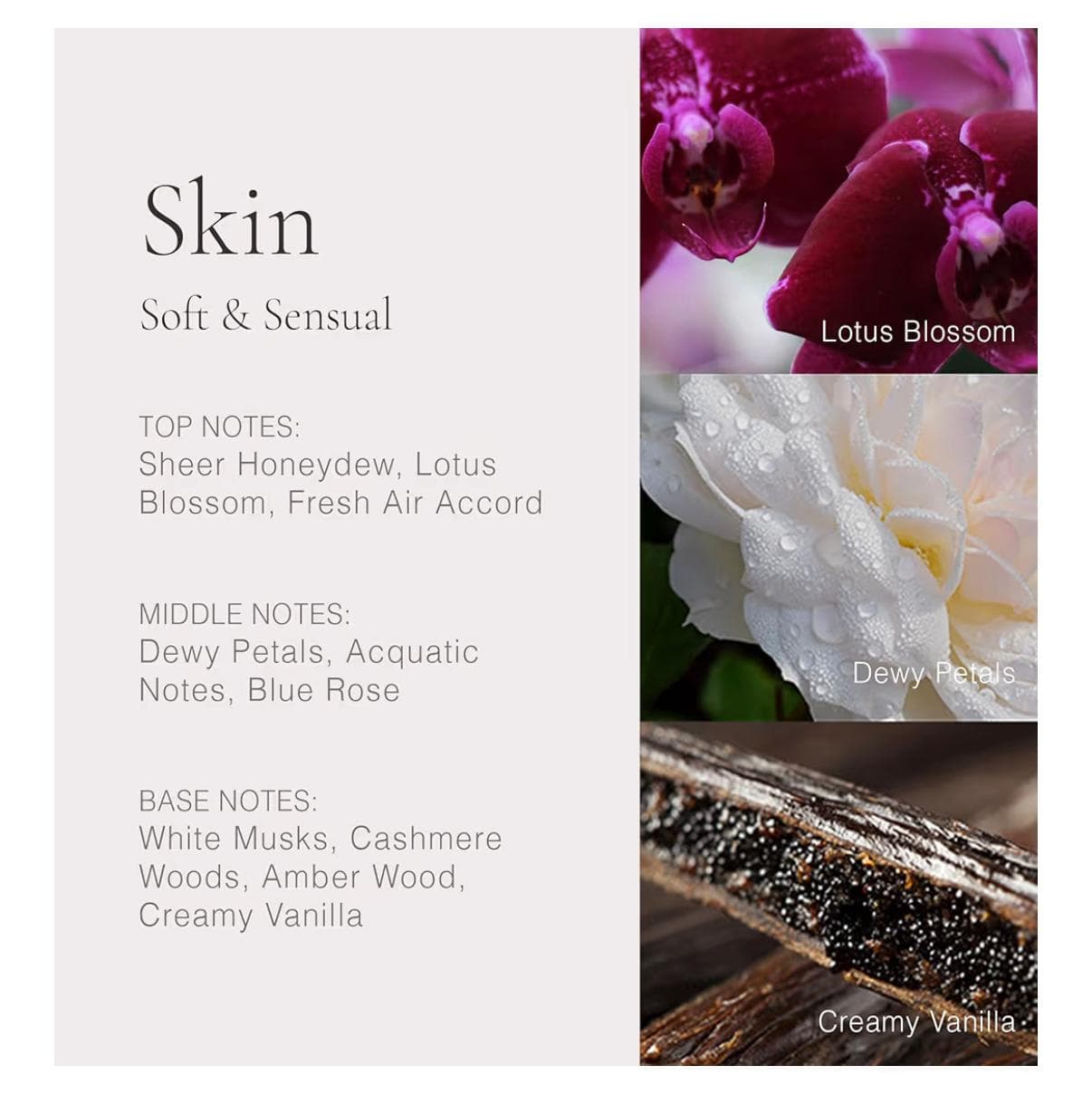 Clean Classic Skin Eau de Parfum 1 fl oz - Thumbnail 5