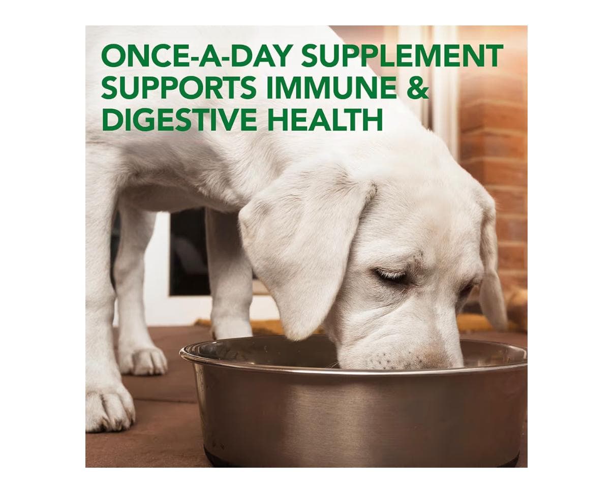 Vet's Best Probiotic Soft Chews for Dogs 90 Count - Thumbnail 2