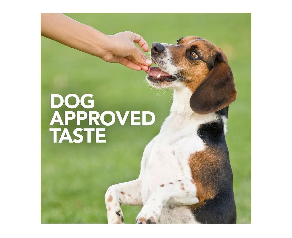 Vet's Best Probiotic Soft Chews for Dogs 90 Count - Thumbnail 5