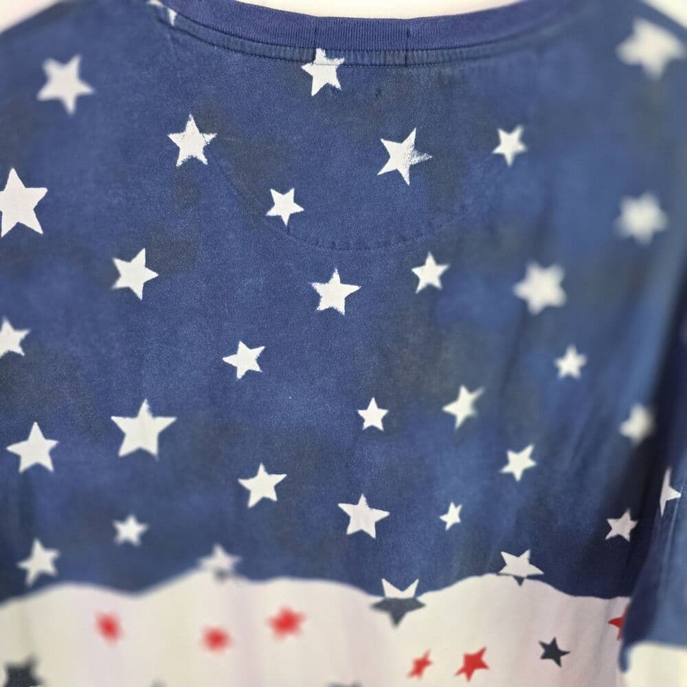 Polo Ralph Lauren Mens XL TG America’s Stars And Stripes‎ Short Sleeve T-Shirt - Thumbnail 8