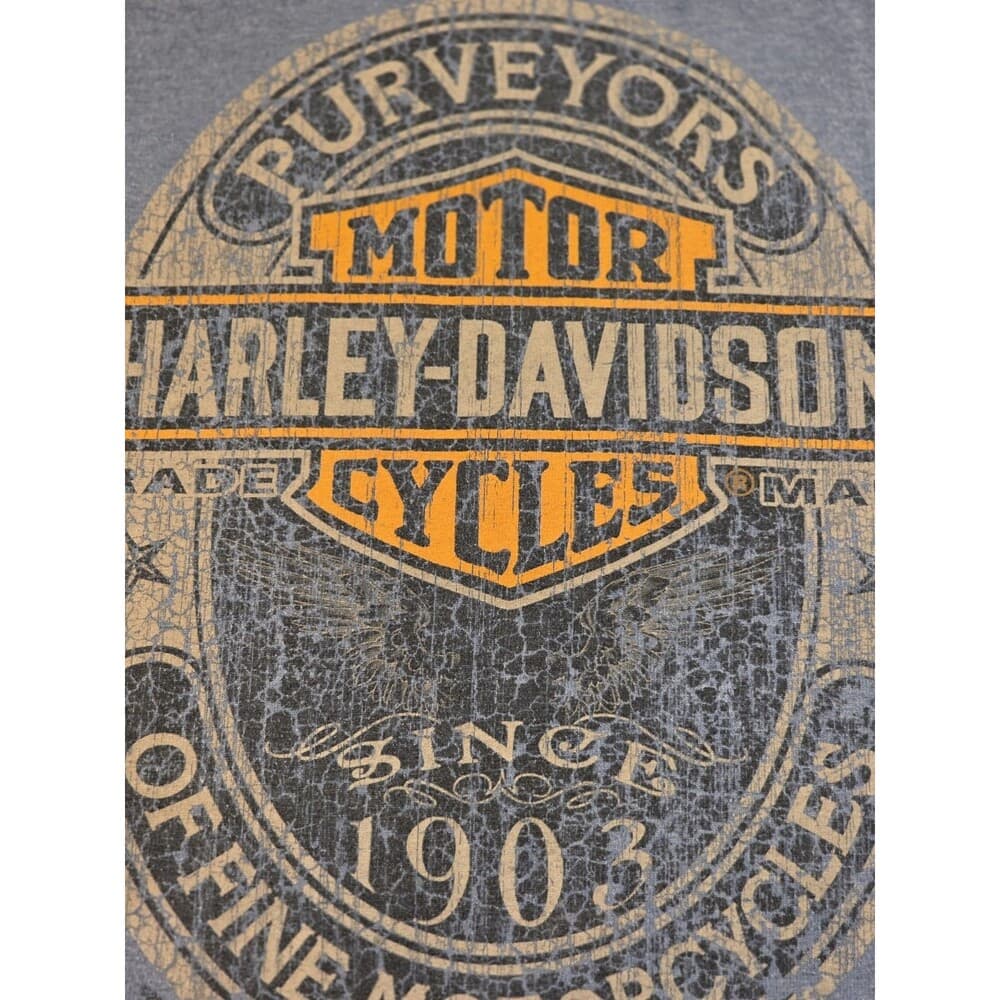 Vintage‎ Harley Davidson Men's XL T-Shirt With Flaws