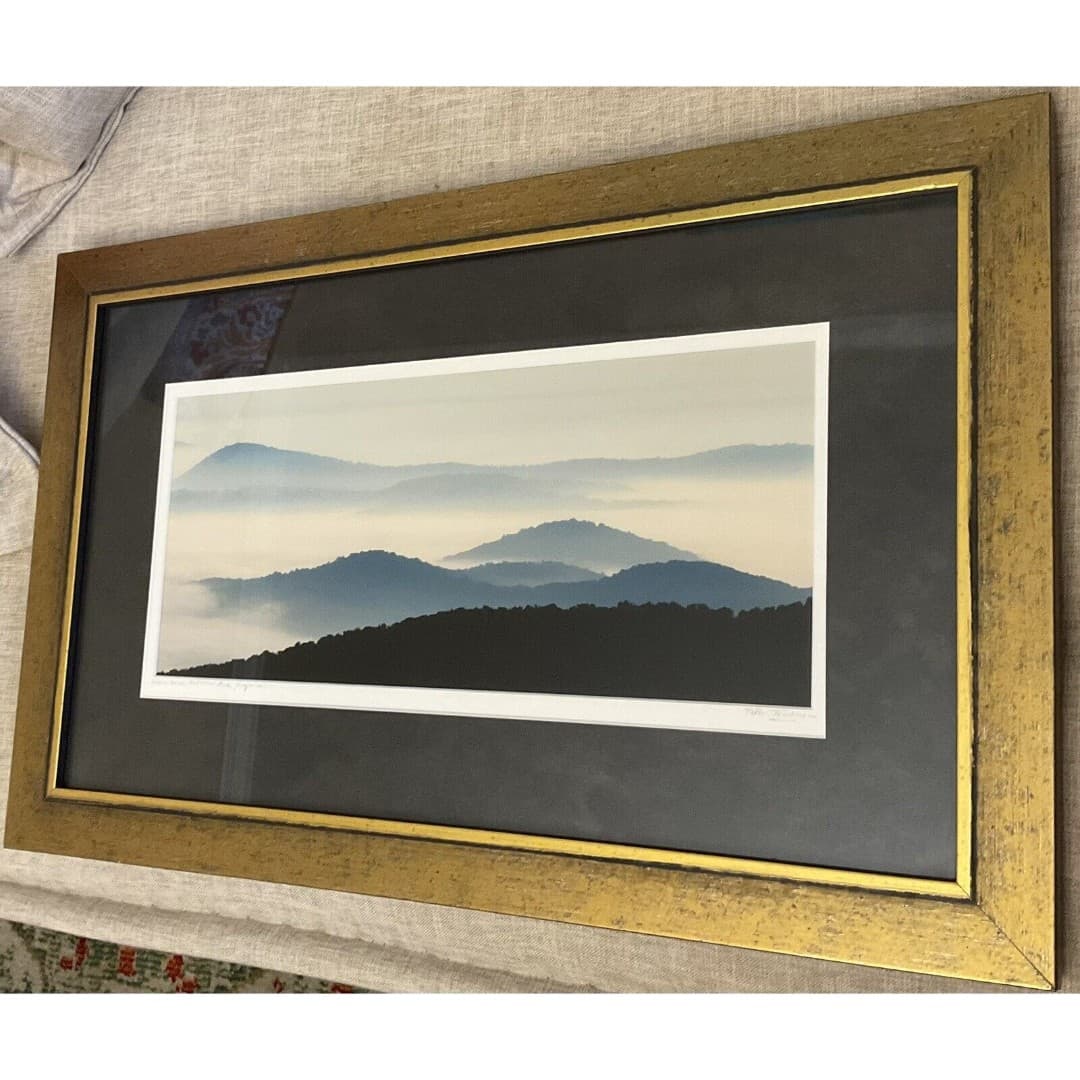 Beautiful Silhouette Picture Of The Shenandoah National Park, Virginia ~Signed - Thumbnail 3