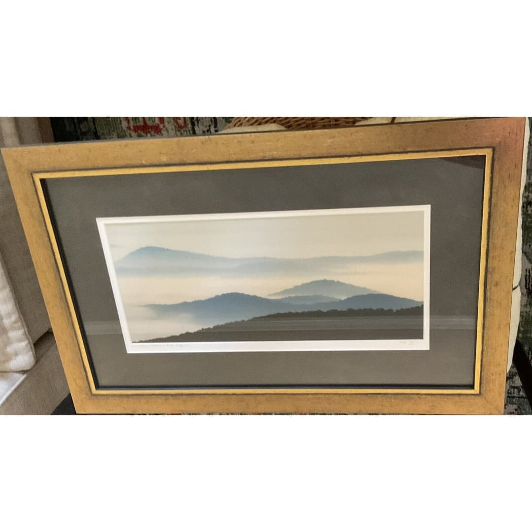 Beautiful Silhouette Picture Of The Shenandoah National Park, Virginia ~Signed