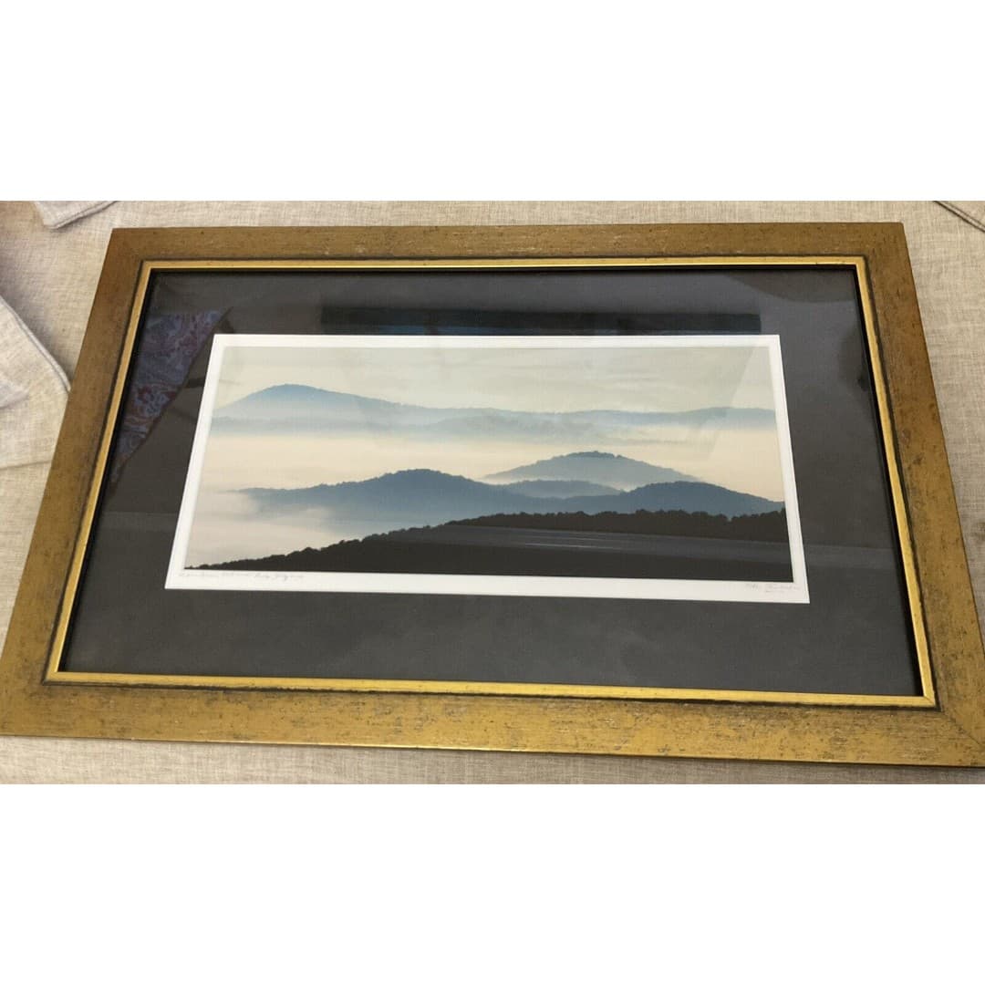 Beautiful Silhouette Picture Of The Shenandoah National Park, Virginia ~Signed - Thumbnail 4