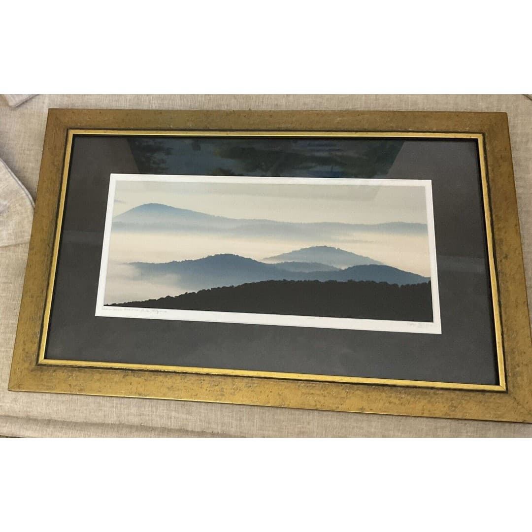 Beautiful Silhouette Picture Of The Shenandoah National Park, Virginia ~Signed - Thumbnail 5