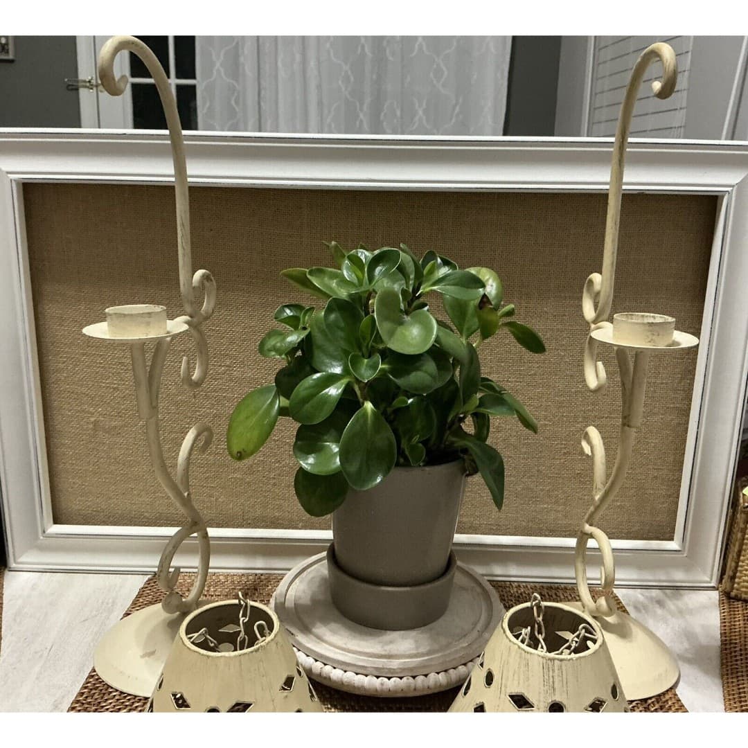 Cottage Candle Holders W/Handing Lamp Shades ~Metal /Cream - Thumbnail 3