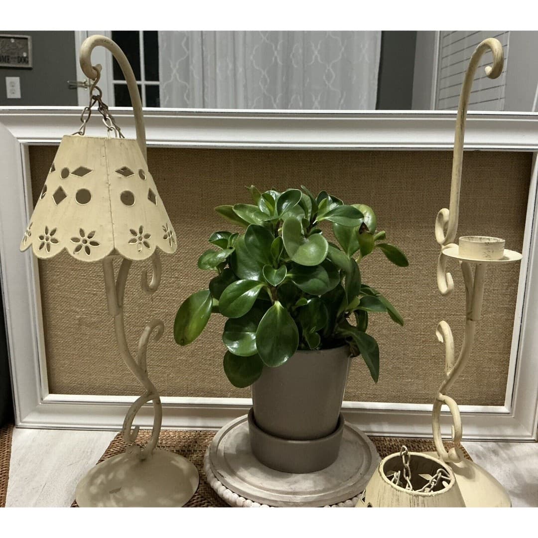 Cottage Candle Holders W/Handing Lamp Shades ~Metal /Cream - Thumbnail 4