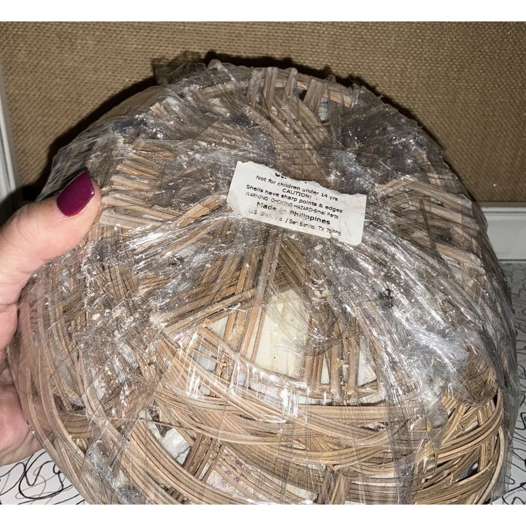 Basket of Sea Shells Large Lot With A Variety Clean New Over 4Lbs - Thumbnail 4