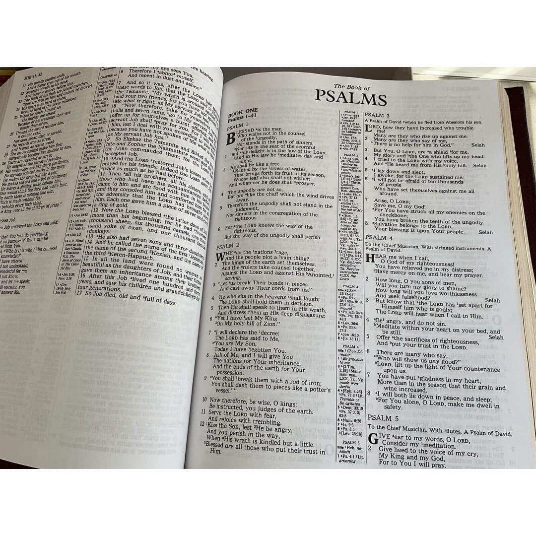 LIGHTING THE WAY FAMILY BIBLE Thomas Kinkade Illustrated NKJV - Thumbnail 5