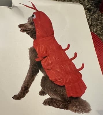 NEW Halloween Dog Cat Pet LOBSTER Costume Outfit MEDIUM