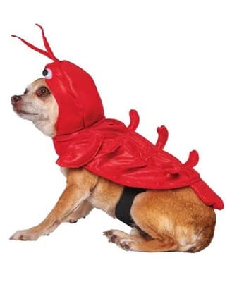 NEW Halloween Dog Cat Pet LOBSTER Costume Outfit SMALL - Thumbnail 2