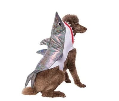 NEW Way To Celebrate Halloween Pet Costume: Shark, Size Medium