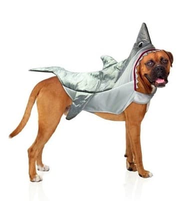 NEW Way To Celebrate Halloween Pet Costume: Hotdog, Size Small!! - Thumbnail 2