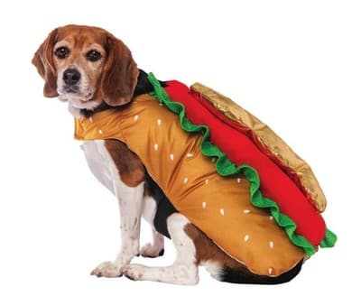 NEW Way To Celebrate Halloween Pet Costume: Hotdog, Size Medium