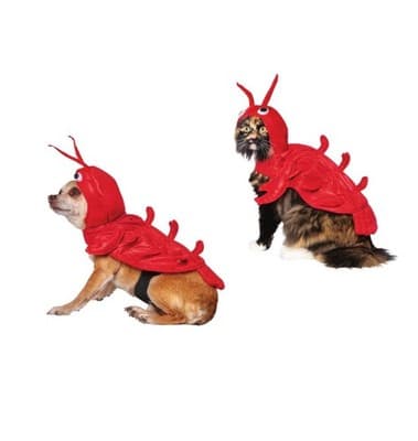 NEW Halloween Dog Cat Pet LOBSTER Costume Outfit MEDIUM - Thumbnail 2