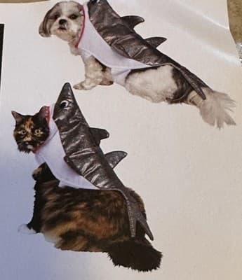 NEW Way To Celebrate Halloween Pet Costume: Hotdog, Size Small!! - Thumbnail 5