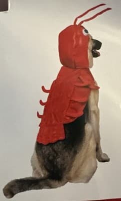 NEW Halloween Dog Cat Pet LOBSTER Costume Outfit LARGE!
