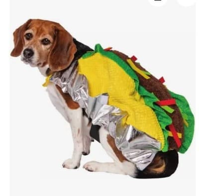 NEW Way To Celebrate Halloween Pet Costume: Taco , Size SMALL