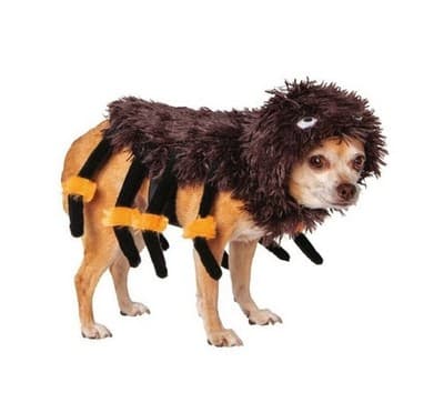 NEW Way To Celebrate Halloween Pet Costume: Spider , Size X-SMALL