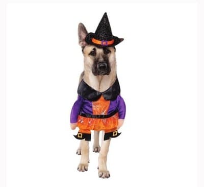NEW Way To Celebrate Halloween Pet Costume: Witch Size Medium