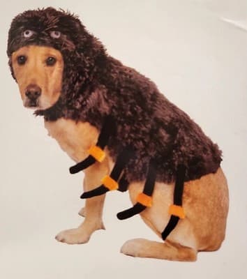 NEW Way To Celebrate Halloween Pet Costume: Spider , Size MEDIUM