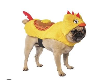 NEW Way To Celebrate Halloween Pet Costume: Chicken waffle , Size SMALL - Thumbnail 2