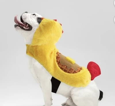 NEW Way To Celebrate Halloween Pet Costume: Chicken waffle , Size LARGE - Thumbnail 6