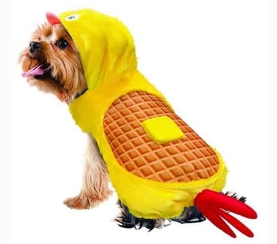 NEW Way To Celebrate Halloween Pet Costume: Chicken waffle , Size LARGE