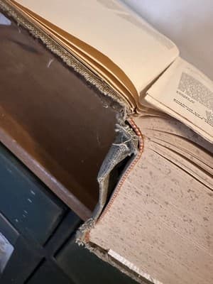 Webster's New Twentieth Century Dictionary Second Edition Unabridged 1956 - Thumbnail 4